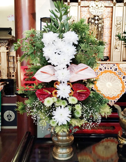 Flores de 02 de Maio de 2025