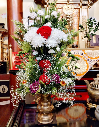 Flores de 04 de Fevereiro de 2025