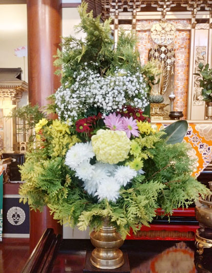 Flores de 04 de Julho de 2025