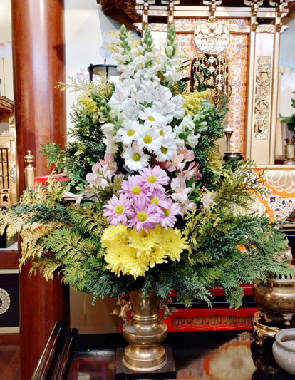 Flores de 04 de setembro de 2025