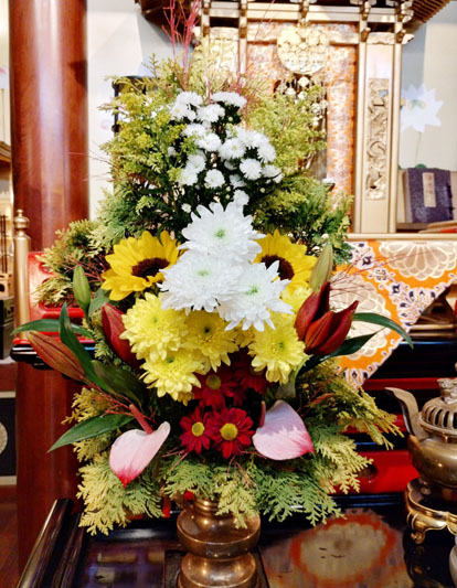 Flores de 07 de agosto de 2025
