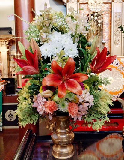 Flores de 09 de Maio de 2025