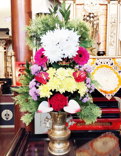Flores de 11 de Abril de 2025