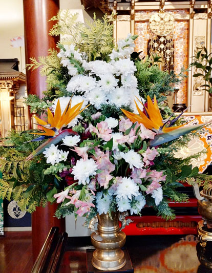 Flores de 11 de setembro de 2025