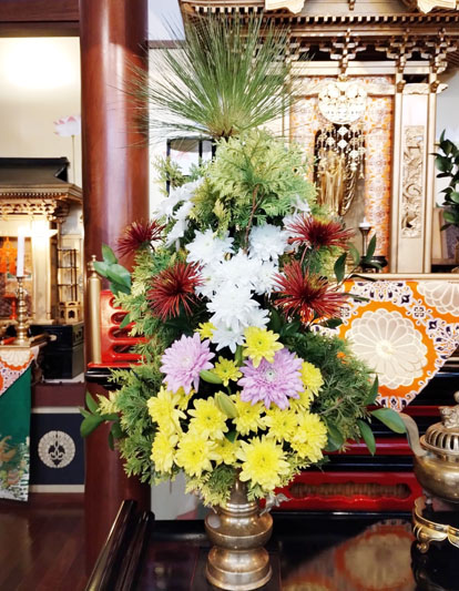 Flores de 13 de Junho de 2025