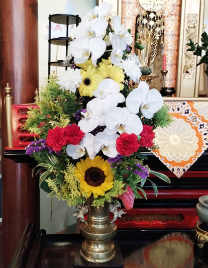 Flores de 14 de Março de 2025