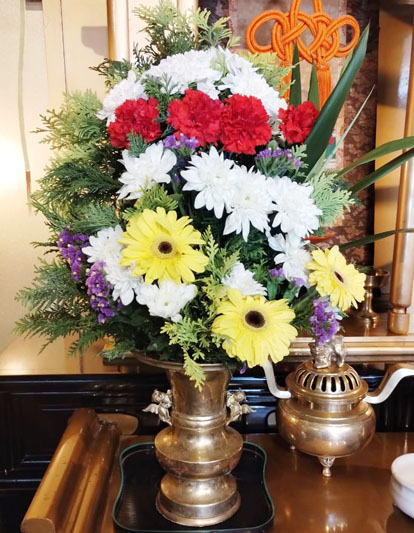 Flores de 14 de Março de 2025