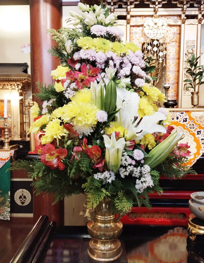 Flores de 16 de outubro de 2025