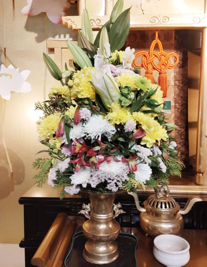 Flores de 16 de outubro de 2025