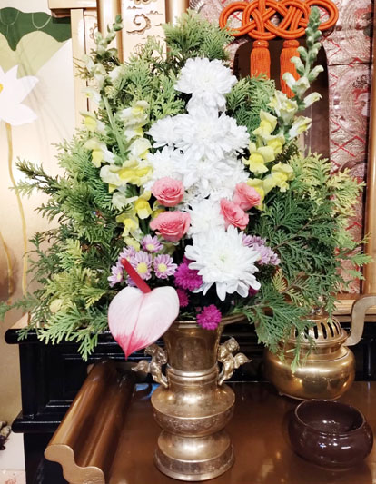 Flores de 17 de Abril de 2025