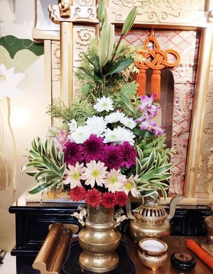 Flores de 17 de Maio de 2025