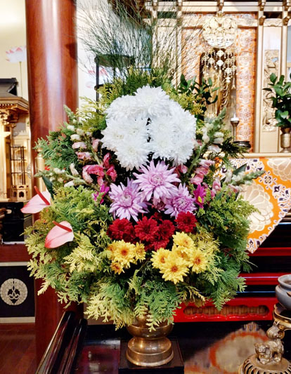 Flores de 17 de Julho de 2025