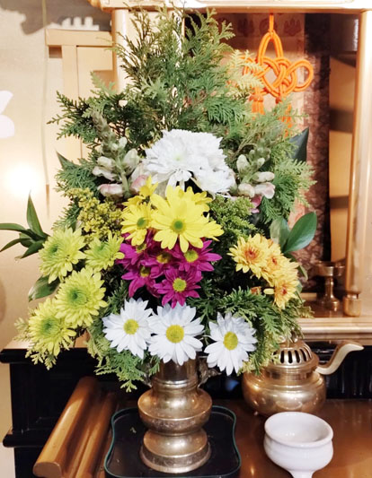 Flores de 17 de Julho de 2025