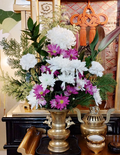 Flores de 19 de setembro de 2025