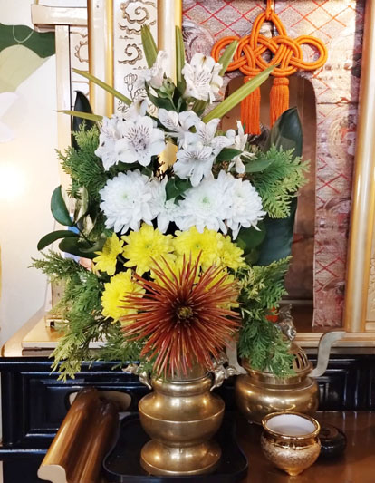 Flores de 20 de Junho de 2025