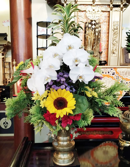 Flores de 21 de Março de 2025