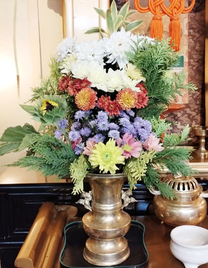 Flores de 21 de Março de 2025