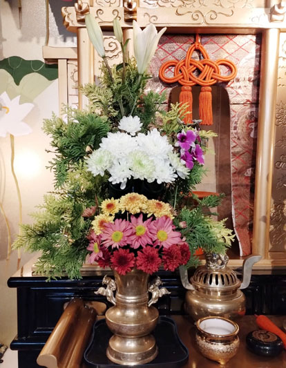 Flores de 23 de Maio de 2025