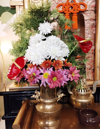 Flores de 24 de Abril de 2025