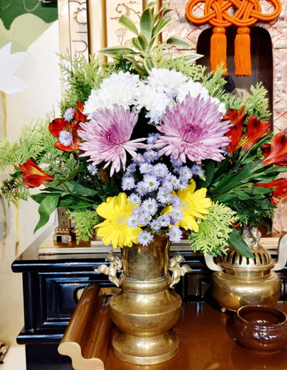 Flores de 27 de Março de 2025