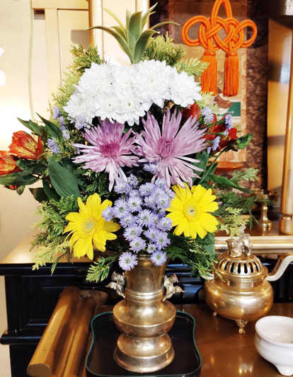 Flores de 27 de Março de 2025