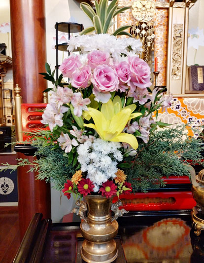 Flores de 28 de Fevereiro de 2025