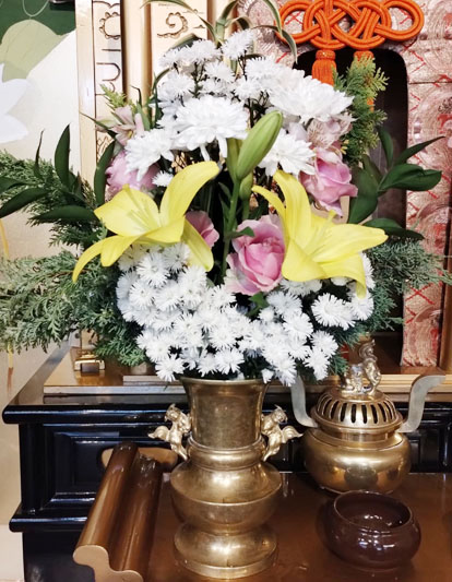 Flores de 28 de Fevereiro de 2025