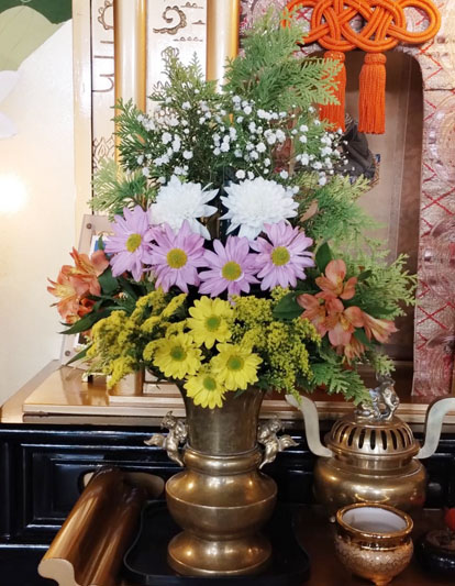 Flores de 30 de Maio de 2025